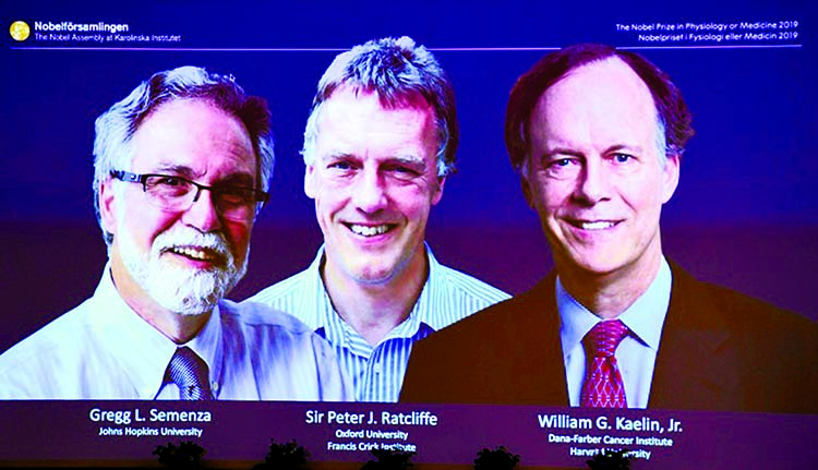 Thomas Perlmann, Secretary-General of the Nobel Committee, presents the Nobel laureates, William G. Kaelin Jr, Sir Peter J. Ratcliffe and Gregg L. Semenza, of this year's Nobel Prize in Medicine during a news conference in Stockholm, Sweden on Monday.
