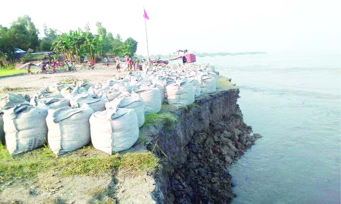 SUNDARGANJ(Gaibandha): Teesta River erosion continues at Sundarganj Upazila point as no effective plan was taken. This snap was taken yesterday.