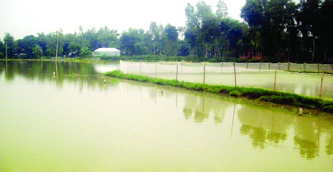 GABTALI (Bogura): Majbari Khardigi areas have gone under water in the Upazila as obstacles have been made to flow water through BADC Small Irrigation Project causing huge harm to agriculture .