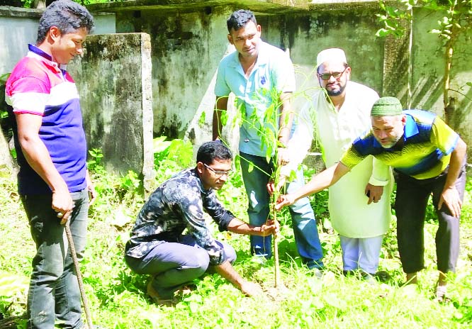 BETAGI (Barguna): Drubotara Development Foundation launched a plantation campaign at Betagi Upazila on Thursday.