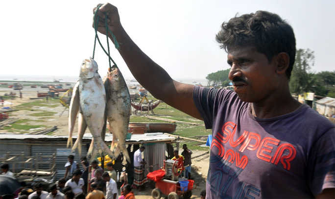 Hilsa fishing resumes at Cox's Bazar after 22 days ban . This snap was taken from Rashmoni Ghat on Wednesday night.