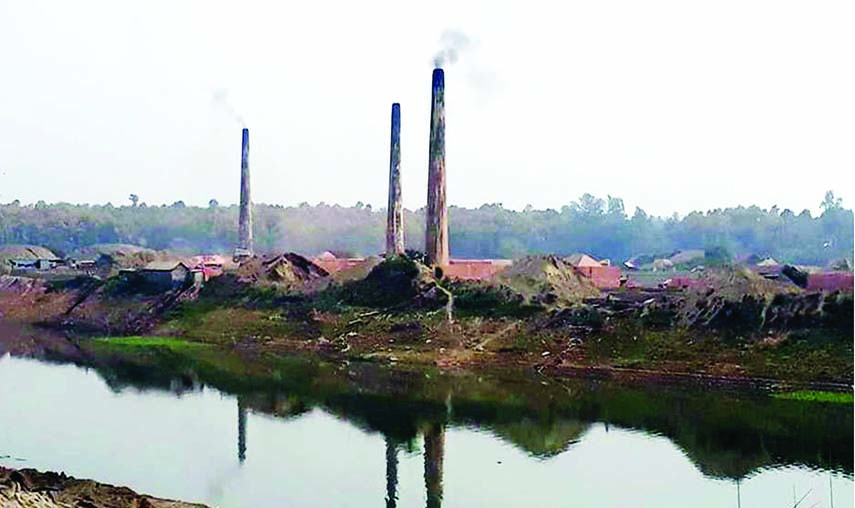 MIRZAPUR (Tangail): Influentials have illegally built bric kilns at Mizapur Upazila by occupying Bangshi River side and forest lands. This snap was taken yesterday.