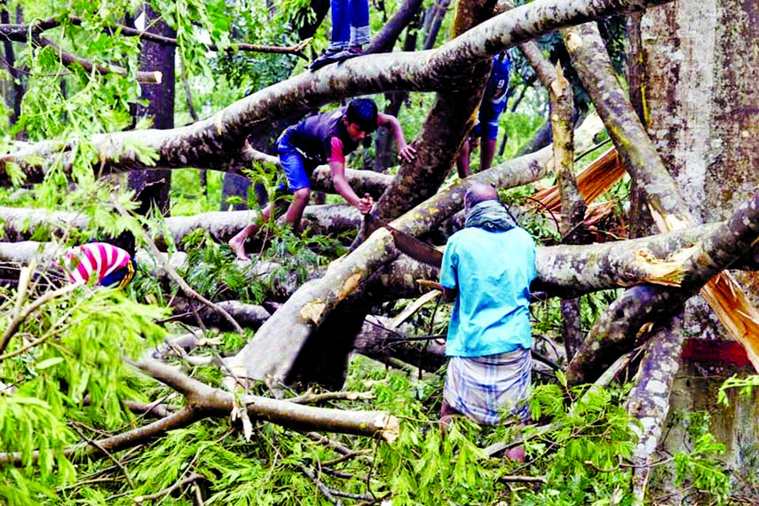 Thousands of homes across the country's coastal belts were damaged and many trees uprooted by the cyclonic Bulbul, which crossed through Khulna and the adjoining southwestern part of Bangladesh early Sunday before weakening into a deep depression. The sn