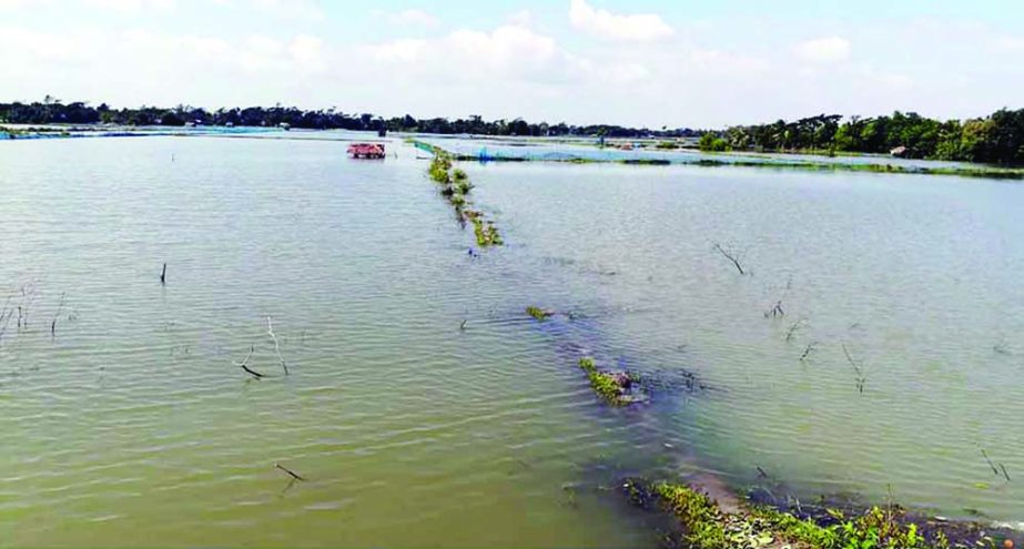 MONGLA: Shrimp clusters were washed away by cyclone â€˜Bulbulâ€™ on Sunday. Banglar Chokh