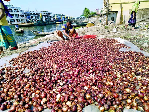 An onion seller sorting his stock on the bank of Buriganga River on Friday amid soaring prices of the key kitchen staple item in the city's kitchen market.