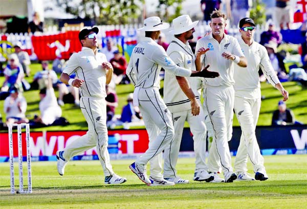 New Zealand's Tim Southee (second right) is congratulated by teammates after taking the wicket of England's Joe Denly during play on day one of the first cricket Test between England and New Zealand at Bay Oval in Mount Maunganui, New Zealand on Thursda