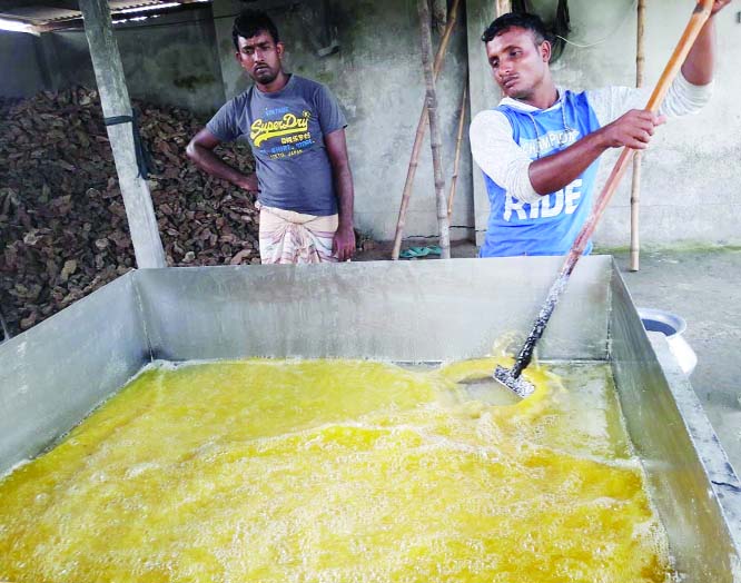 SANTHIA(Pabna): Atik, a student of University of Dhaka and successful businessman and owner of online Khatibazar.com.bd preparing pure ghee at his farm in Santhia Upazila.