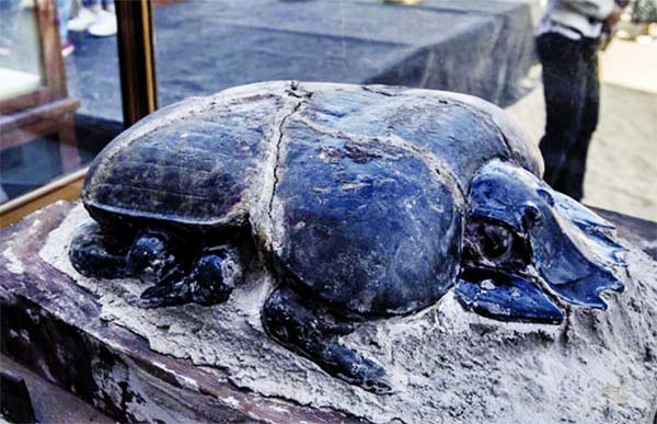 A rare large stone scarab was described as 'the largest all over the world'.