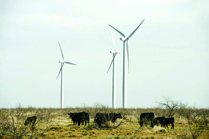Cattle graze among wind turbines near Stanton, Texas. AP file photo