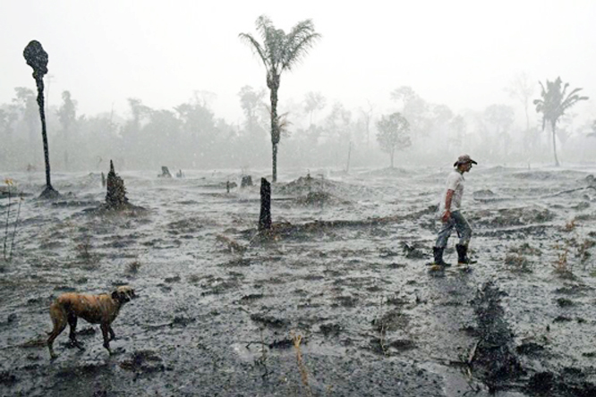 Brazilian farmer Helio Lombardo Do Santos and a dog walk through a burnt area of the Amazon rainforest, near Porto Velho, Rondonia state, Brazil.