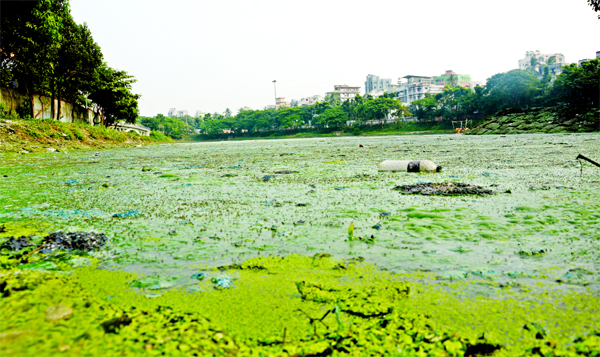 Water pollution of Hatirjheel Lake has taken a serious turn as household waste and other garbages from different areas continue to flow the lake water through drains. Bad smell is coming from the contaminated water causing huge irritation to the local peo