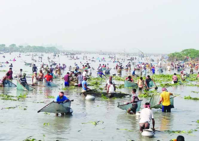 PABNA: Local people and fishermen catching fish in 'Bout Festival' at Bhangurar Beel in Pabna on Tuesday.