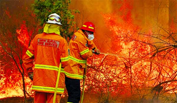 Bushfires are common in the country but scientists say this year's season has come earlier and with more intensity due to a prolonged drought and climatic conditions fuelled by global warming.