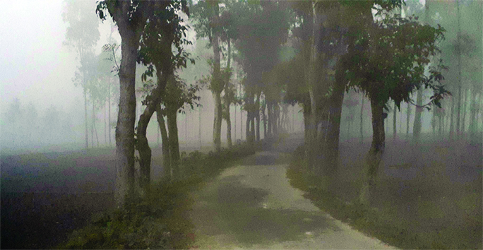FULBARI (Kurigram): Dense fog and bitter cold weather at Fulbari Upazila causing immense sufferings for dwellers. This snap was taken yesterday.