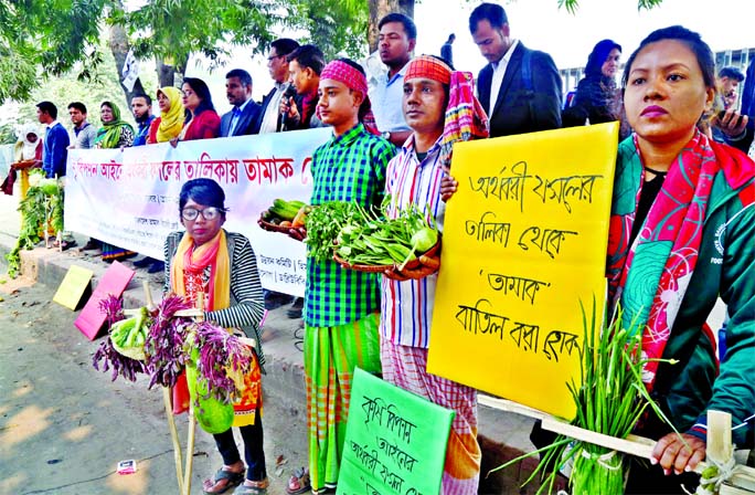 Anti-tobacco campaigners formed a human chain in front of Abahani Club in Dhaka demanding removal of tobacco from cash crop list.