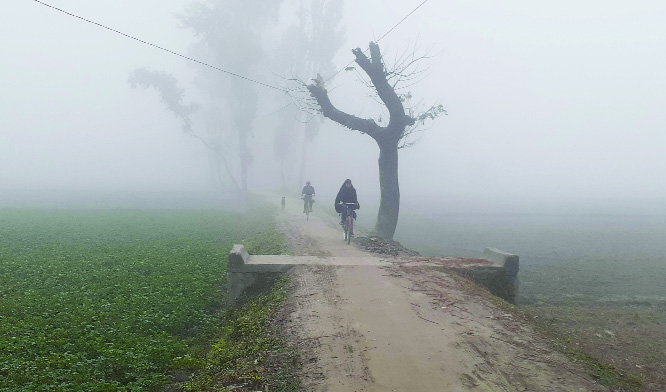 FULBARI (Kurigram ): Dense fog disrupted life in Fulbari Upazila in Kurigram yesterday . This picture was taken from Naobanga Union.