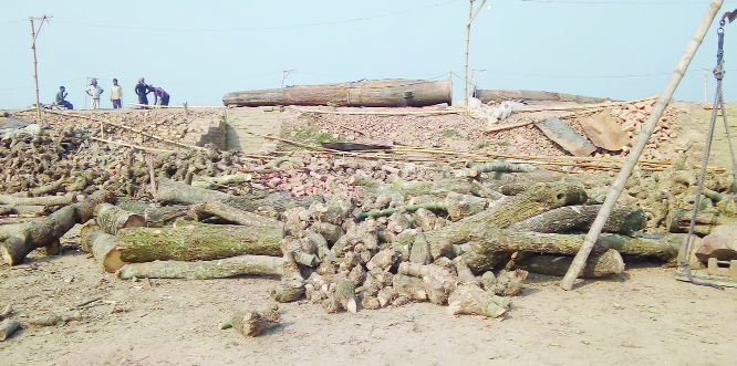 JHENAIDAH: An illegal brick field has been demolished at Pirojpur area in Kaliganj Upazila on Saturday.