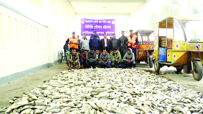 BARISHAL: Eight persons were arrested by members of BGB with 70 maunds of jatka from Palashpur area on Wednesday .