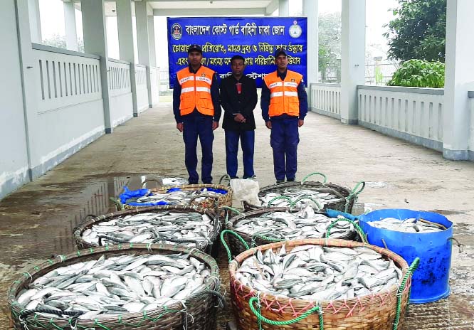CHANDPUR: Some 50 maunds of jatka were seized by members of Coast Guard from a launch in Chandpur on Friday.