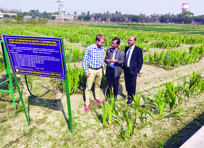 GAZIPUR: Dr. Wolfgang Duifhuizen, CDSP-B Professional of Netherlands working in Char Development and Settlement Project in Bangladesh (a collaborative projects of 5 ministries and Embassy of Netherlands, Dhaka), visiting Bangladesh Agricultural Research I