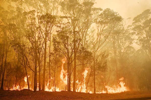 Bushfires that tore through Australia affected three quarters of the population in some way, a new poll shows.