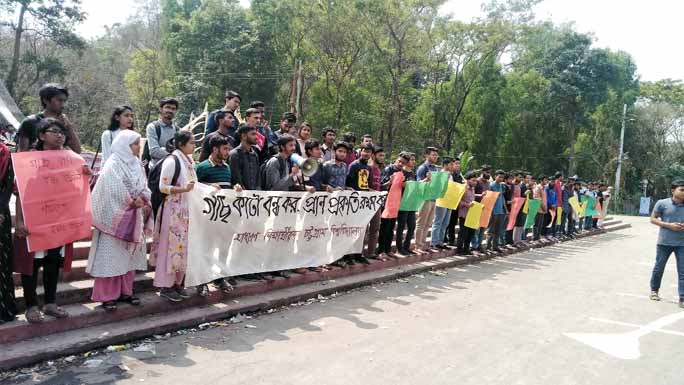 Students of Chattogram University formed a human chain in front of Shaheed Minar protesting tree cutting on Thursday.