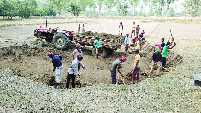 PANCHAGARH: Influentials cutting soil from upper level of crop lands at Boda Upazila for brick fields . This snap was taken yesterday.