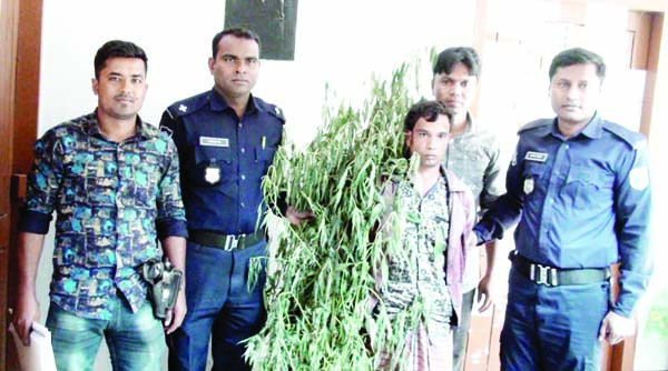NAOGAON: One person was arrested from Adamdighi Upazila with cannabia, one kind of drug leaves recently.