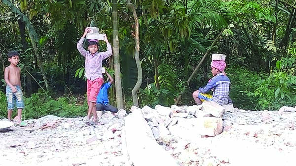 BAMNA (Barguna): Influentials using child labourers for Marking a mandir at Akhrabari area in Bamna Upazila . This snap was taken on Friday . Photo : Matin Akhand