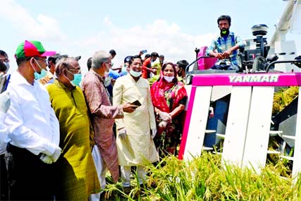 Two ministers, four lawmakers and several other government officials launch paddy procurement programme in Sunamganj on Wednesday defying physical distancing protocol Photo: Collected