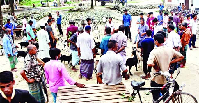 People gather at a cattle market of Dheerganj in Dinajpur on Thursday with total disregard to social distancing norms. Even they refrain from wearing protective mask amid surge in coronavirus infection in the country.