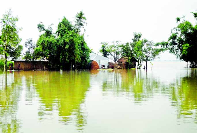 A flooded locality of Chargandimari of Hatibandha in Lalmonirhat along the bank of Teesta River after rise in its water level on Friday.