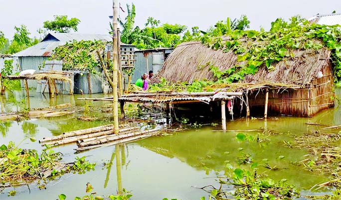 A house goes under flood water at Ulipur upazila in Kurigram district. This photo was taken on Friday.