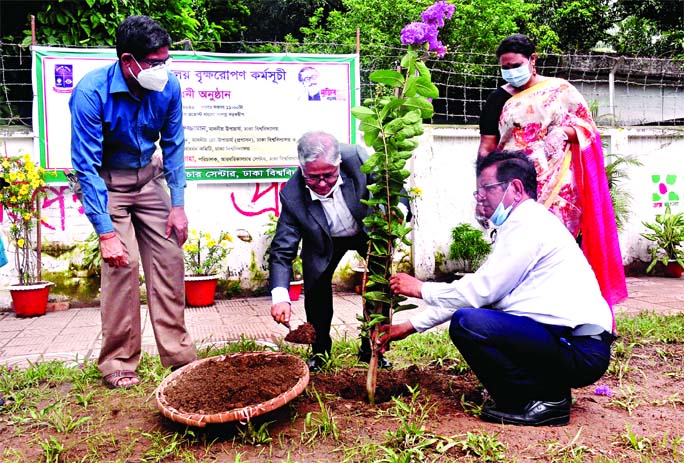 Dhaka University Vice-Chancellor Professor Dr. Md. Akhtaruzzaman planted saplings on the road-island adjacent to Provost Bungalow of Shamsunnahar Hall on Sunday.