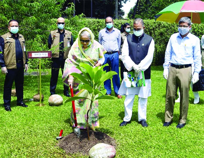 Prime Minister Sheikh Hasina inaugurates the distribution and plantation of one crore saplings across the country as a part of the celebration of "Mujib Borsho"" (Mujib Year) at Ganobhaban on Thursday."