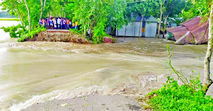 Over fifty houses go under floodwater due to collapse of an embankment in Aliabad union of Faridpur Sadar upazila. This photo was taken from Beel Gozaria on Sunday.