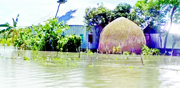 The entire locality of Pangsha and Goalonda upazilas in Rajbari district go under floodwater marooning around 10,000 families. This photo was taken on Wednesday.