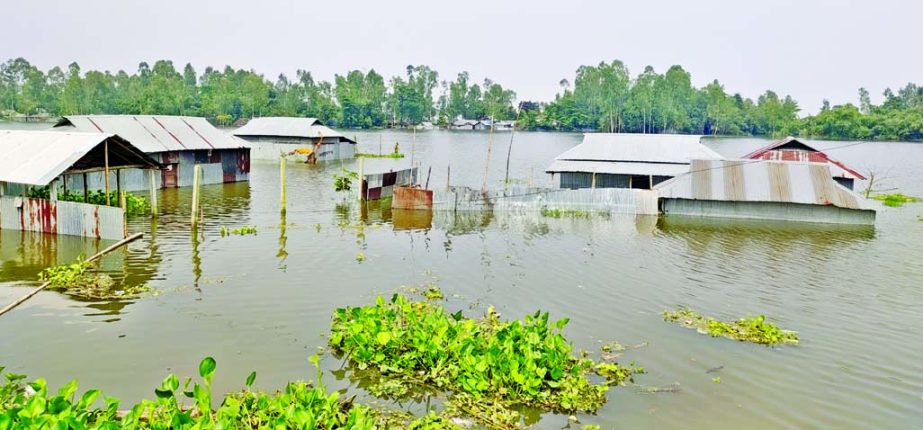 Houses are seen submerged at the Vasherpara village in Fulchhari Upazila of Gibandha as flood situation in the district worsenes further following the rise of water level in Brahmaputra and Karatoa rivers. This snap was taken on Monday.