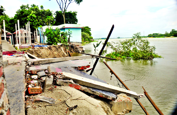 Several houses and establishments at Gaberpara of Islampur under Sirajdikhan in Munshiganj devoured due to erosion in the River Padma.