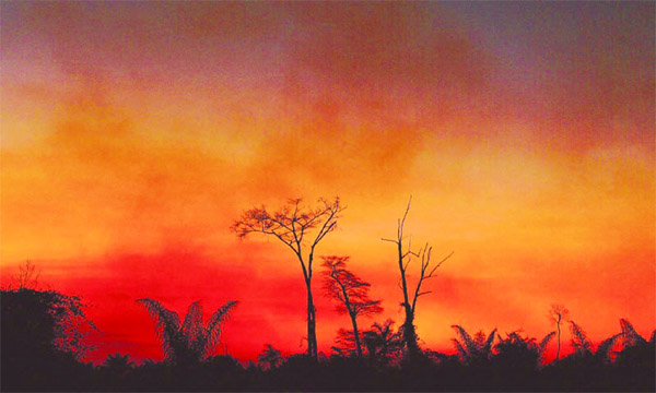 Smoke rises from a burnt area of land at an indigenous park in Mato Grosso state, in Brazil's Amazon basin.