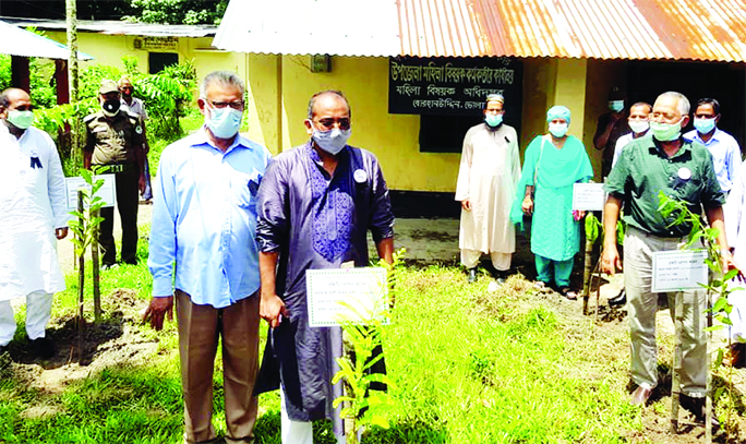 Ali Azam Mukul, MP, opening a tree plantation programme in memory of the 45th Martyrdom of Bangabandhu Sheikh Mujibur Rahman on Thursday at Borhanuddin in the district of Bhola.