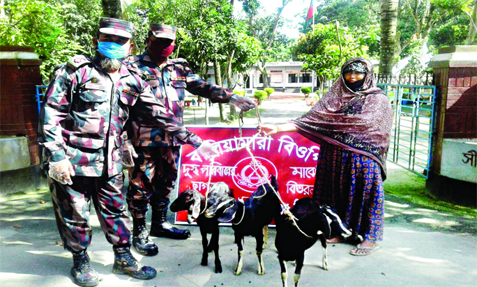 Lieutenant Colonel S.M. Azad, Commander of 35 BGB, Jamalpur handed three goats to the representative of the Vidyanando Foundation as special incentives on Thursday.