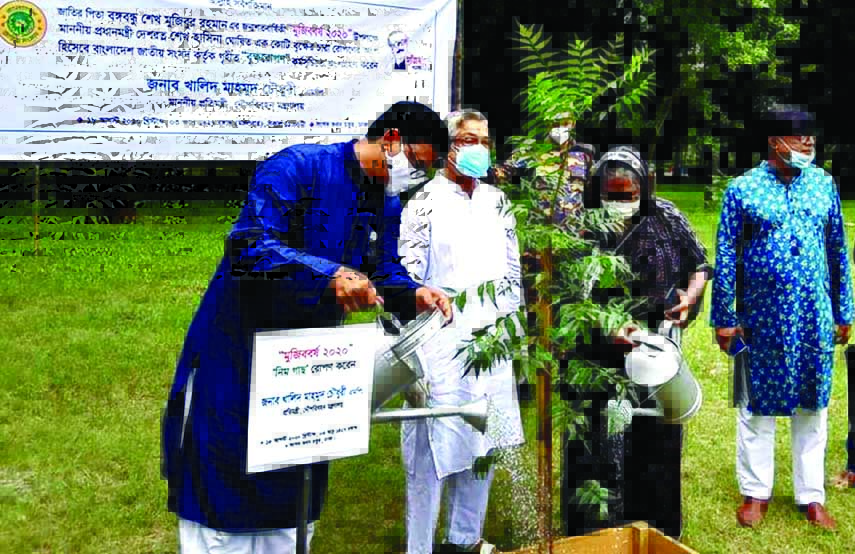 State Minister for Shipping Khalid Mahmud Chowdhury waters a sapling after planting it at a tree plantation programme marking 'Mujib Year' organised by Bangladesh Jatiya Sangsad on its premises on Tuesday.