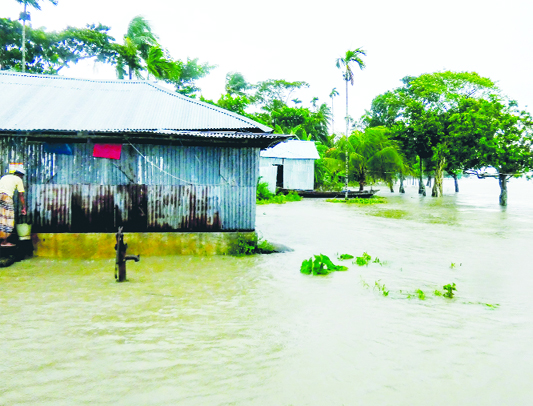 Tidal waters inundate a vast area in Hasannagar Union of Borhanuddin Upazila under Bhola district on Thursday.