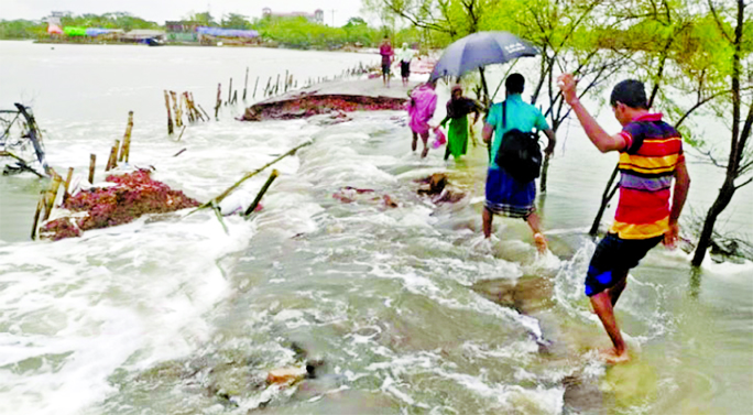 People seen crossing over a damaged embankment collapsed due to surging water of a high tide that engulf more than 50 villages under Protapnagar and Shriola unions of Shatkhira district. The photo was taken from Modhupur village on Friday.