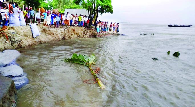 People stand around watching the damaged embankment at Dhekuria area of Sirajganj's Kazipur upazila on Saturday. The receding Jamuna River trigger erosion that breached a 50-metre stretch of the river bank protection dam.