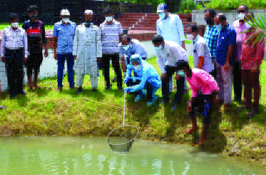 Dr. Quazi Sazzad Hossain Vice-Chancellor of Khulna University of Engineering & Technology releases fish fingerlings into a pond on Tuesday marking the birth centenary celebration of Father of the Nation Bangabandhu Sheikh Mujibur Rahman.