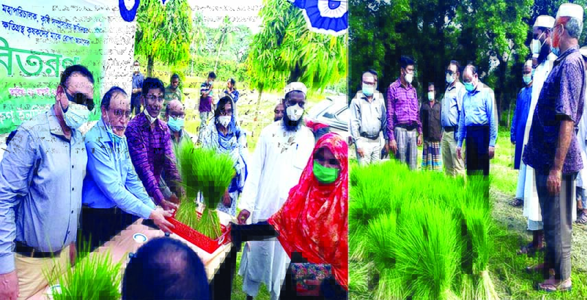 Director General of DAE Agriculturists Dr. Md. Abdul Muyeed distributes specially prepared Aman Rice seedlings among flood-hit farmers free of cost earlier this week in Rangpur.