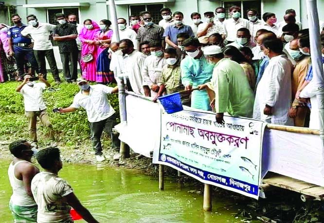 State Minister for Shipping Khalid Mahmud Chowdhury releases fish fries at Dinajpur district's Bochaganj upazila pond on Friday. A good number of people were present on the occasion sponsored by the Upazila Fishery Office.