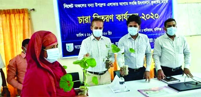Chief Scientific Officer of Moulvibazar distributes vegetable saplings among the people at a function held in Baniachong Upazila of Habiganj on Monday.